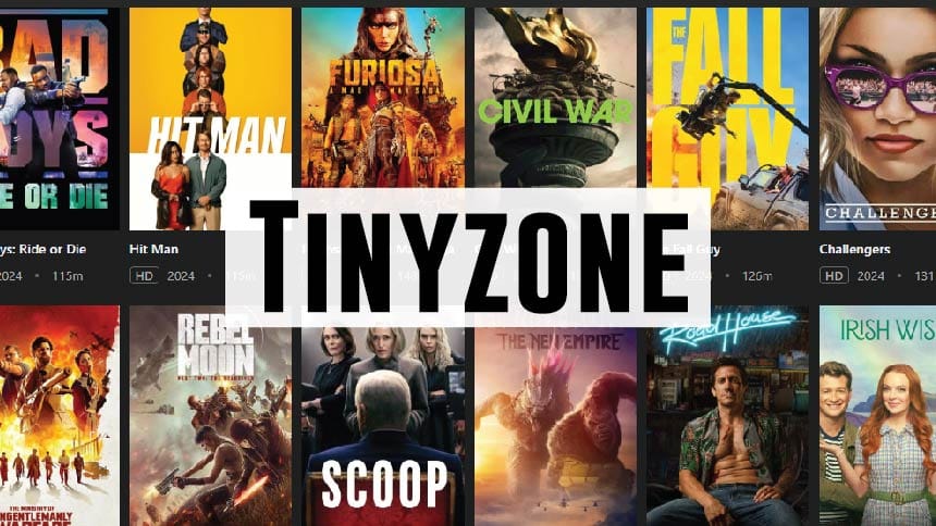 Tinyzone Streaming Banner
